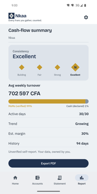 Nkaa cash-flow summary report
